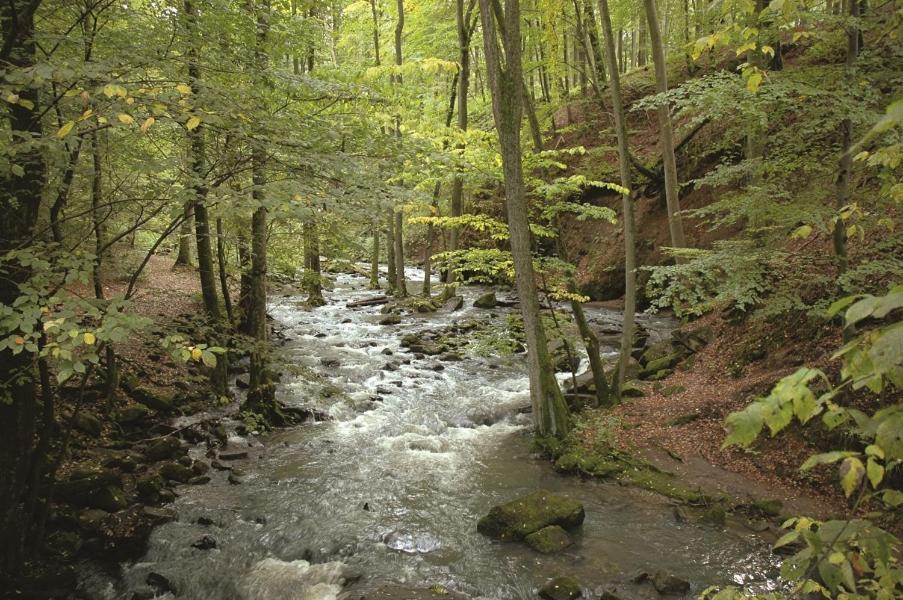 וסטרבורג Fewo Hof Elbbachtal מראה חיצוני תמונה